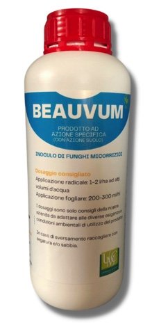 BEAUVUM