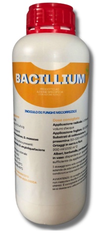 BACILLUIM